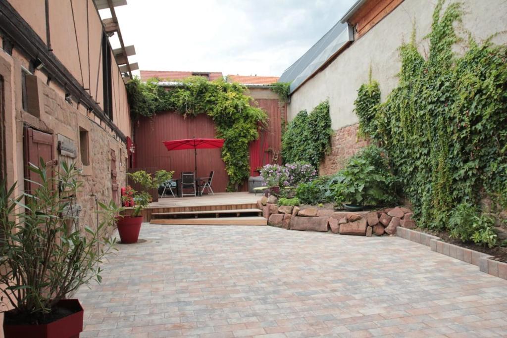 une cour avec une terrasse agrémentée d'un parasol et de plantes dans l'établissement HOPLA, à Hurtigheim