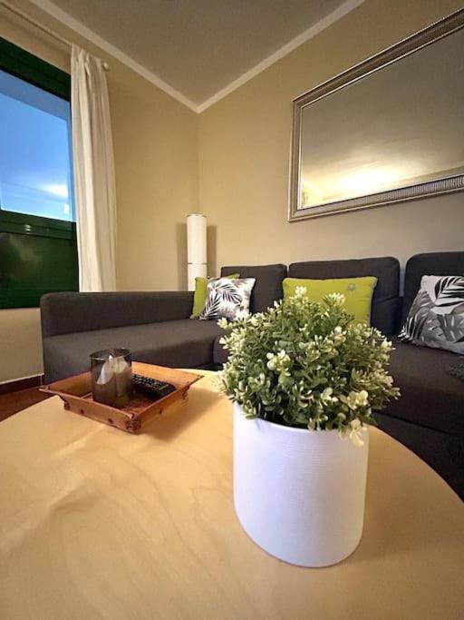 a living room with a couch and a table with a plant at Casa Chus, cerca de la playa in Los Pocillos