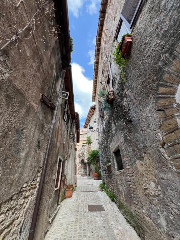 Il quartiere o una zona nella vicinanze dell'appartamento
