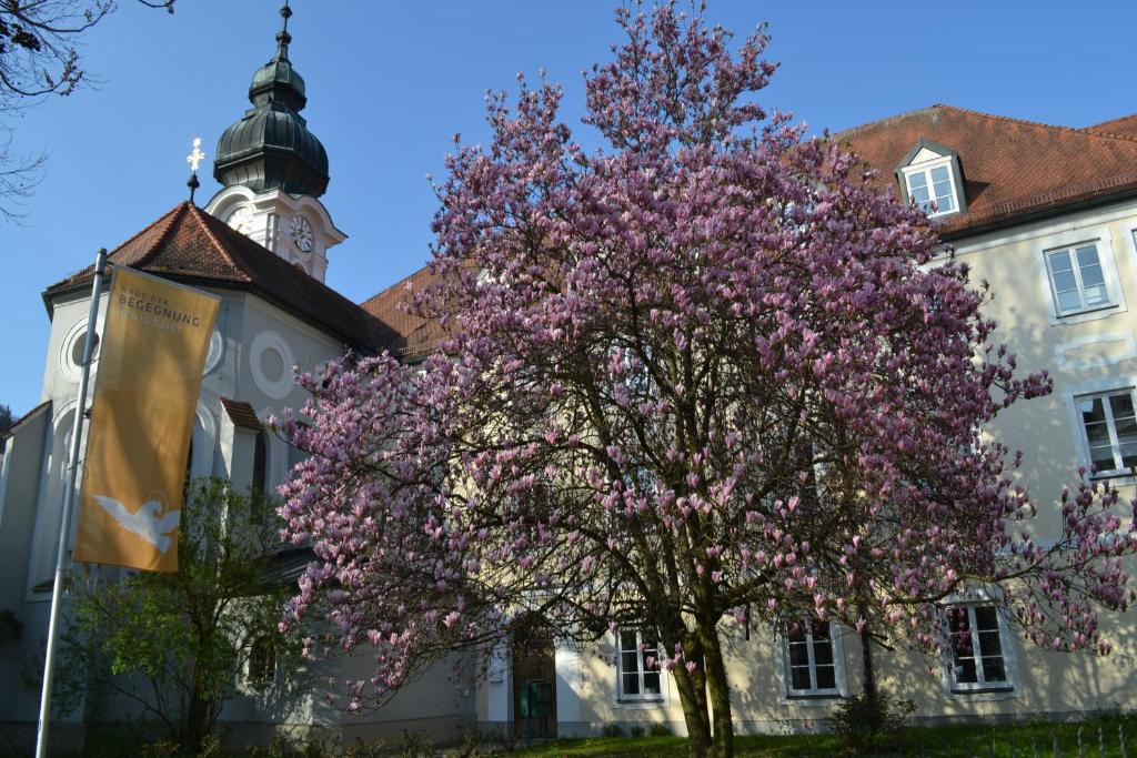 a tree with pink flowers in front of a building at Haus der Begegnung Heilig Geist in Burghausen