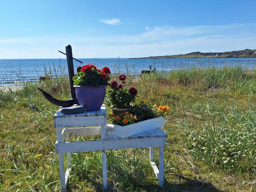 a em Feriehus ved Barentshavet - Holiday home by the Barents Sea em Ytre Kiberg