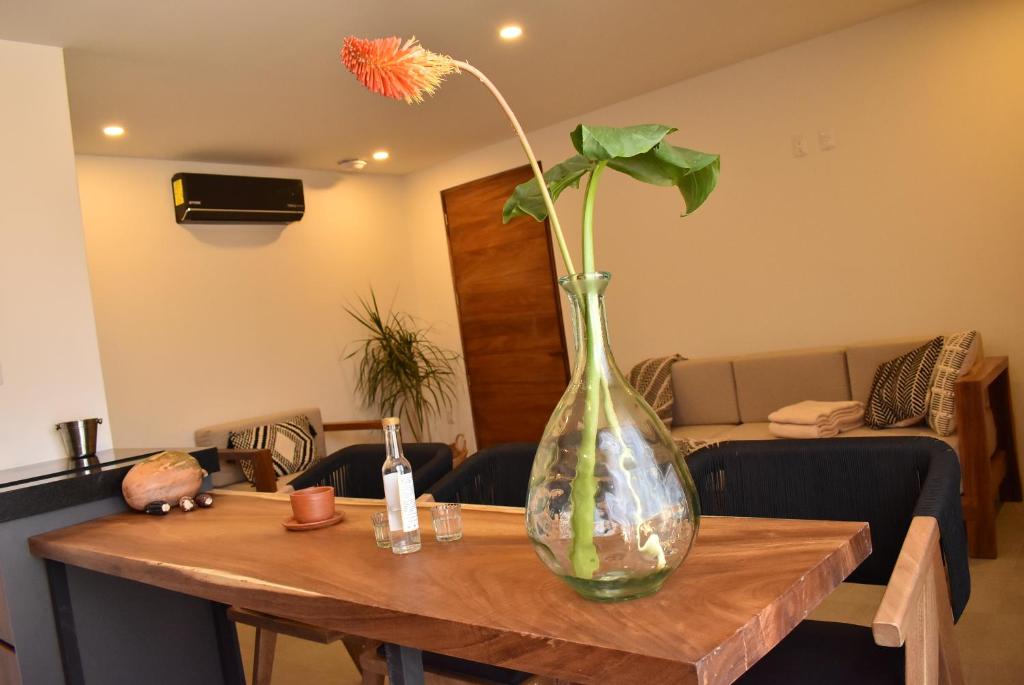 Posezení v ubytování Punta Agave Suites
