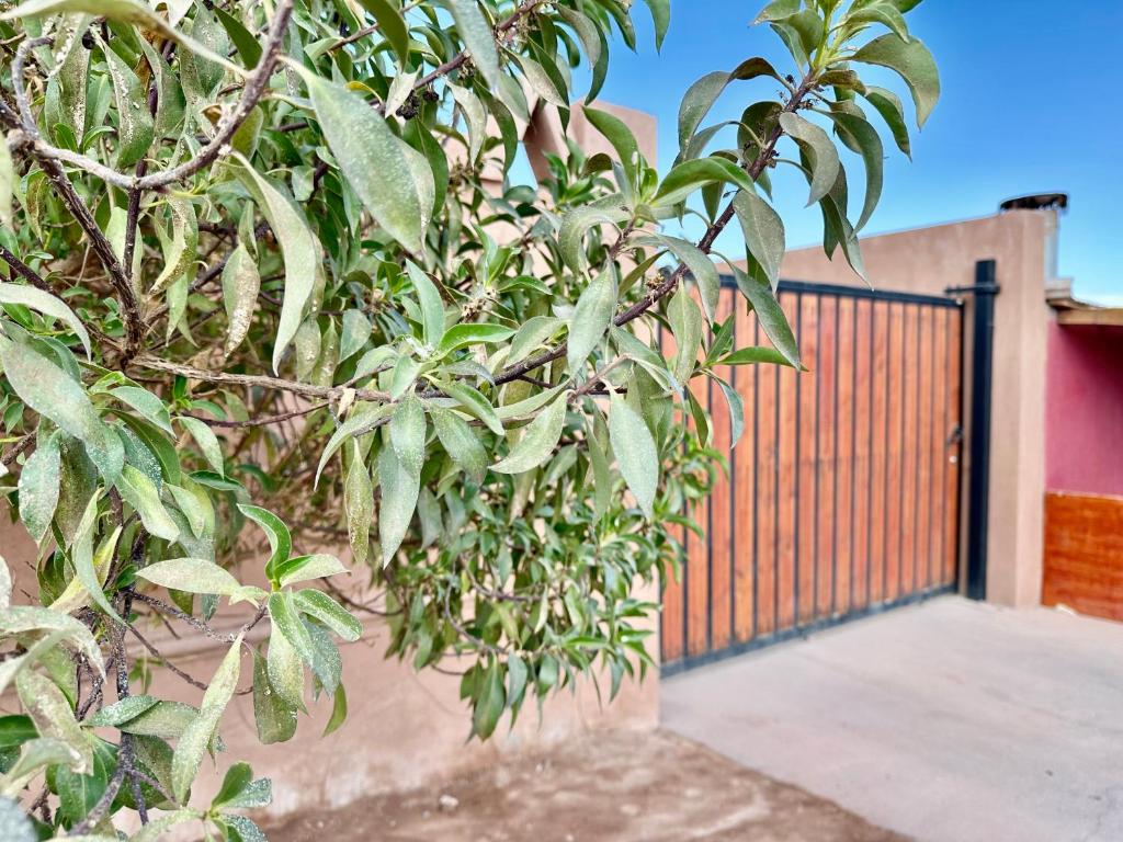 Fotografie z fotogalerie ubytování Hostal Qachi Chentura v destinaci San Pedro de Atacama