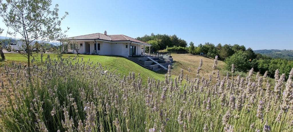 ein Haus auf einem Hügel mit einem Blumenfeld in der Unterkunft Green Forest in Buzet