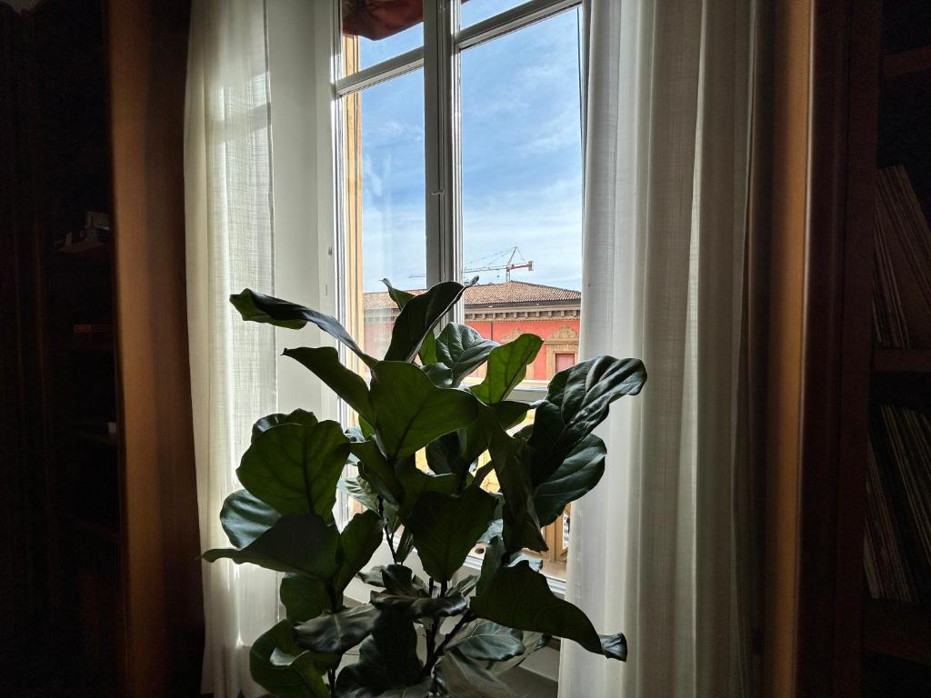 Frame Bologna - Resim 14