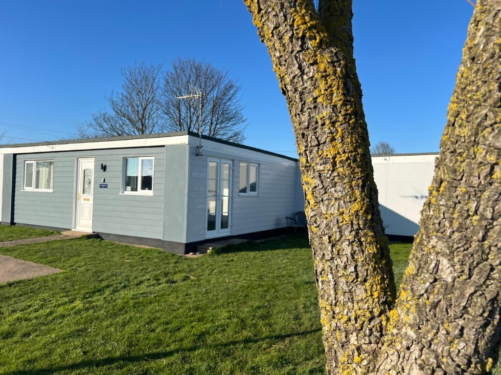 a mobile home with a tree in the foreground at Saltwater Chalet in Kessingland