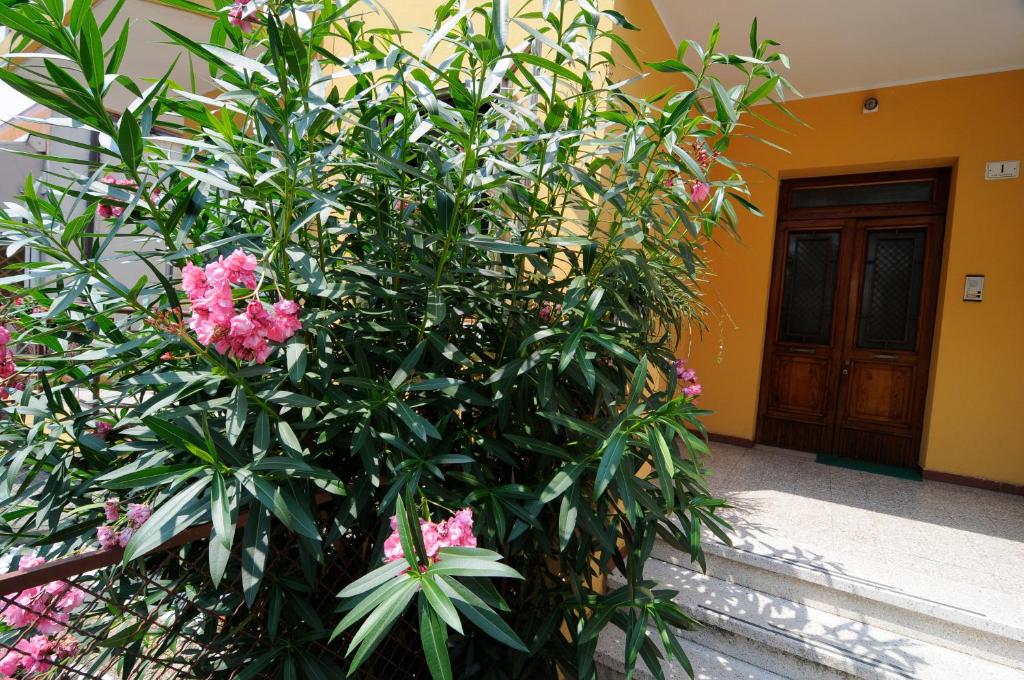 Ogród w obiekcie Appartamento Colli & Terme
