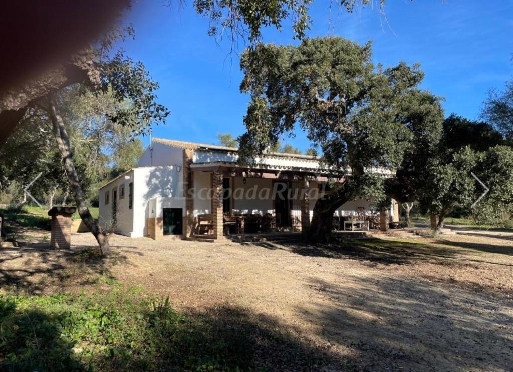 un bâtiment avec un arbre devant lui dans l'établissement Casa Rural Los Murtales, à Alcalá de los Gazules