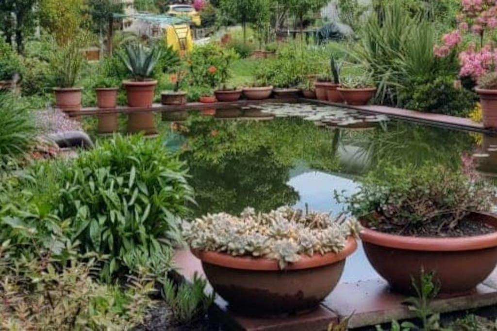 Zahrada ubytování B&B Vegan La Mucca felice - Grazioso appartamento nel verde