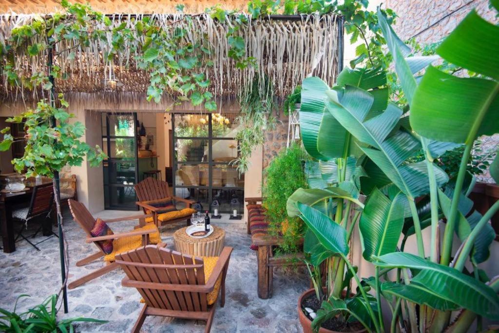 patio z kilkoma krzesłami i roślinami w obiekcie Camp de sa mar w mieście Port de Soller