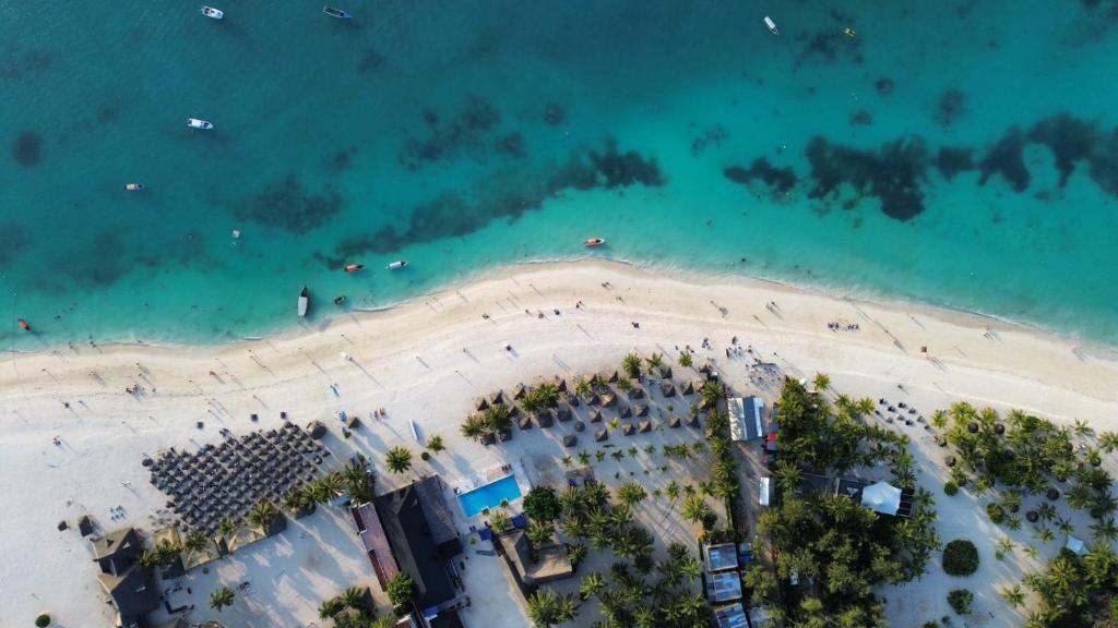 an overhead view of a beach and the ocean at Two Palms in Jambiani