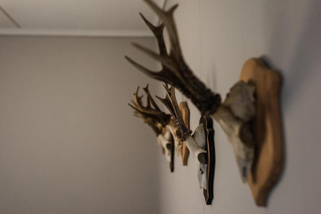 Fotografie z fotogalerie ubytování Skäftekärr Hotell v destinaci Löttorp