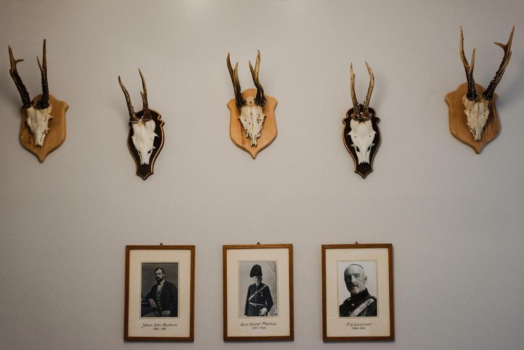 Zvířata v hotelu nebo okolí