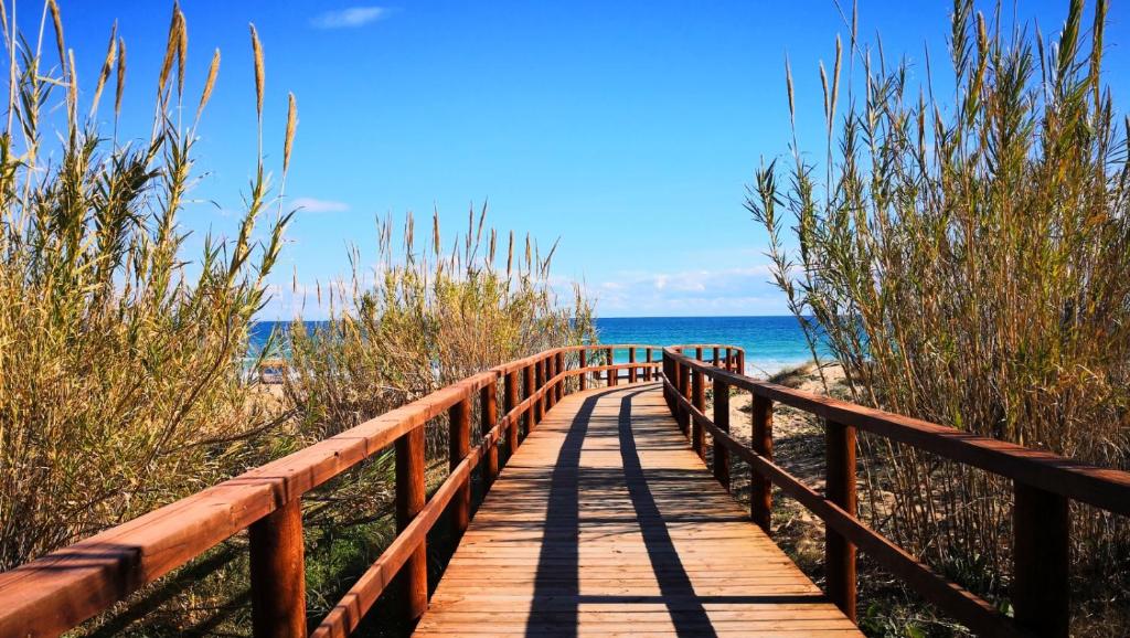 Naturlandskabet i nærheden af feriehuset