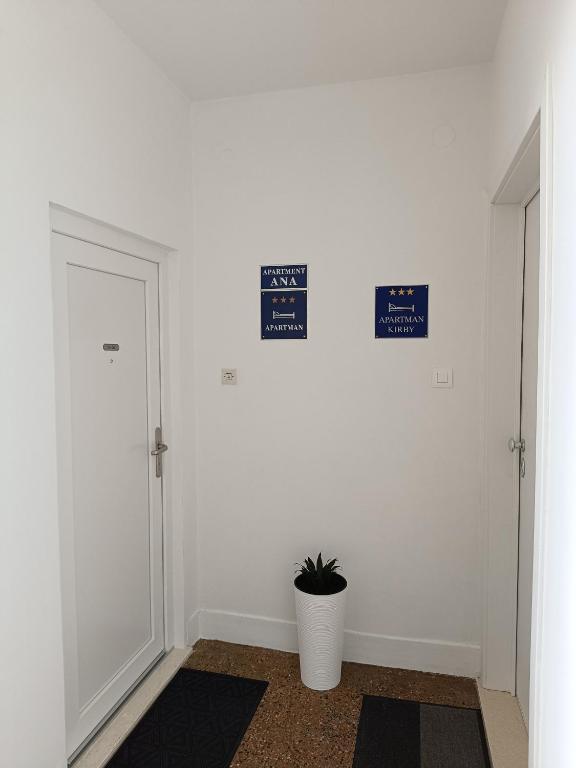 a hallway with white walls and a door and a potted plant at Ana Guesthouse in Dubrovnik