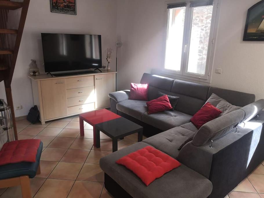 un salon avec un canapé et une télévision à écran plat dans l'établissement Appartement 20m de la plage, à Cerbère