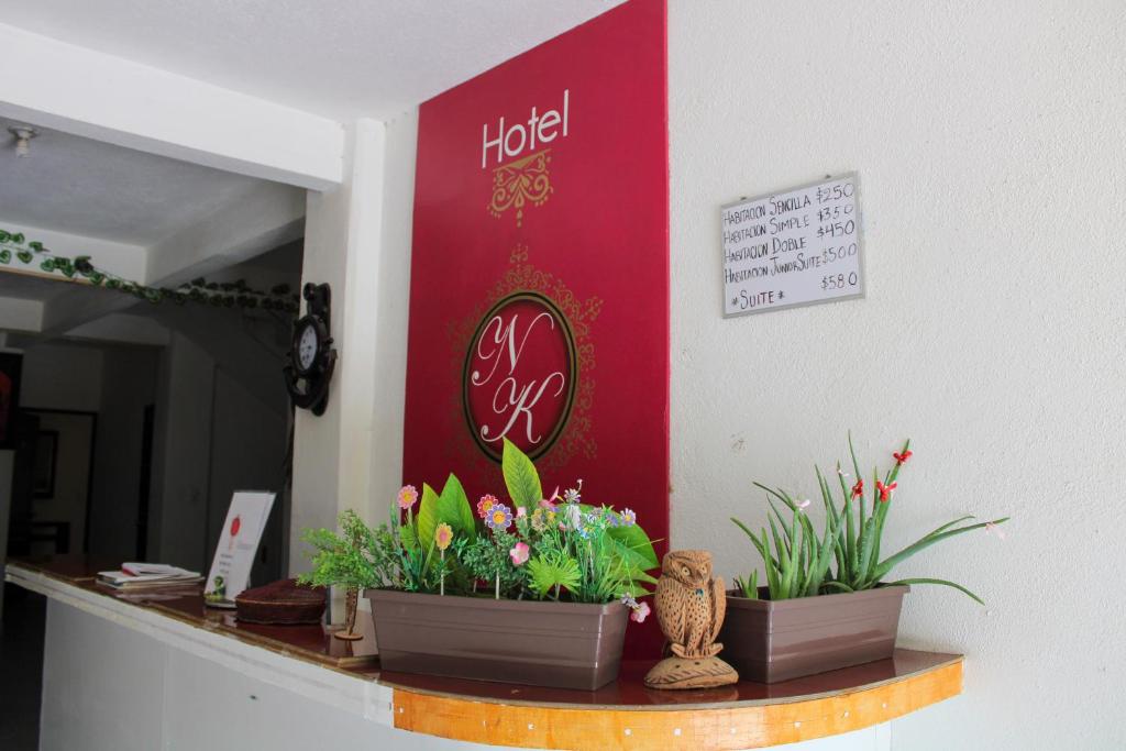 two potted plants on a counter in a room at Hotel NK in Santiago Pinotepa Nacional