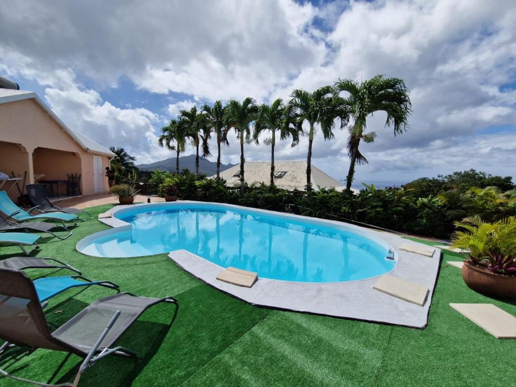 - une piscine sur une pelouse avec des chaises et des palmiers dans l'établissement gîtes THO KOBA, à Saint-Claude