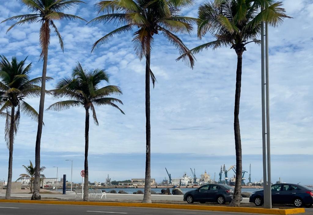 a group of palm trees on the side of a street at Suites Brisa Marina - Playa Regatas y Malecón in Veracruz