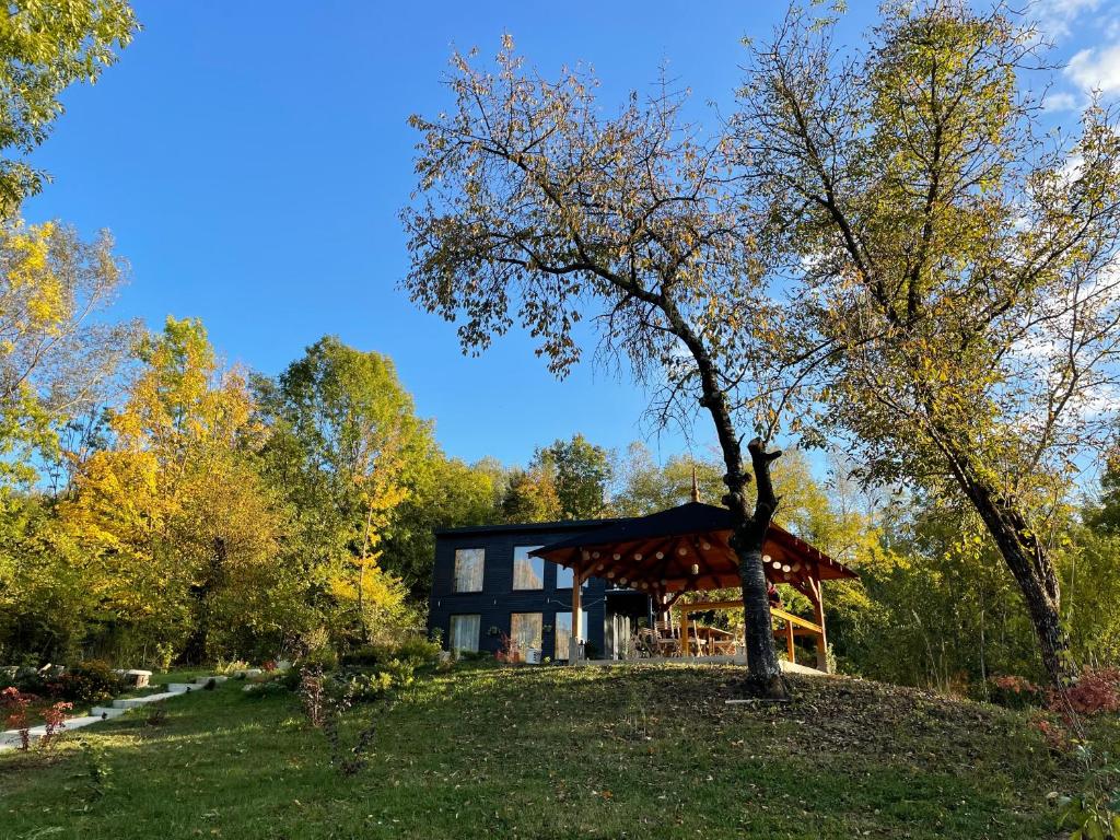 ein schwarzes Gebäude mit einem Baum davor in der Unterkunft Casa de pe un Deal-Provita de Sus-Prahova in Proviţa de Sus