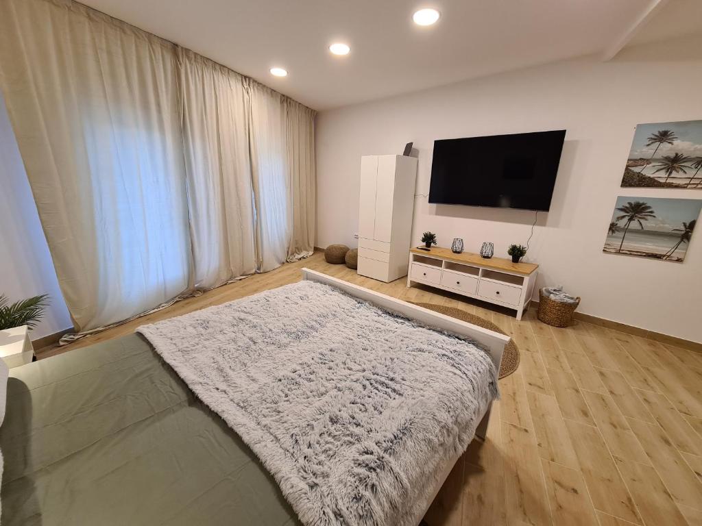 Televízia a/alebo spoločenská miestnosť v ubytovaní Kedves Apartman