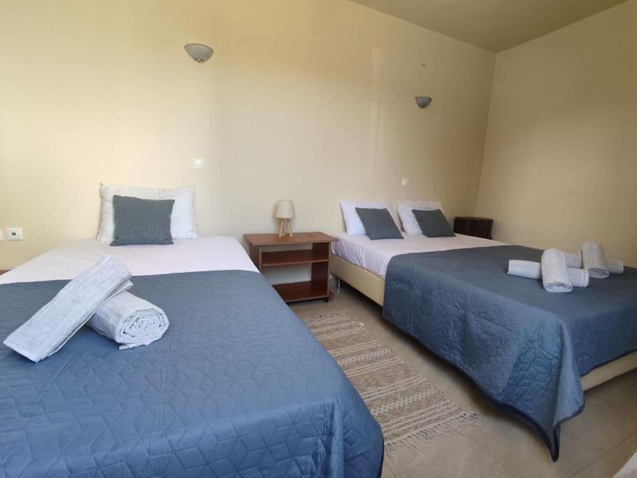 2 Betten in einem blau-weißen Zimmer in der Unterkunft MontNoir Appartement in Mavrovouni