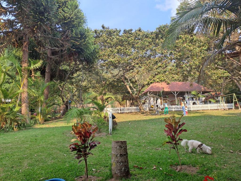 a dog laying in the grass in front of a house at La Ramada de Mama Elena in Oxapampa