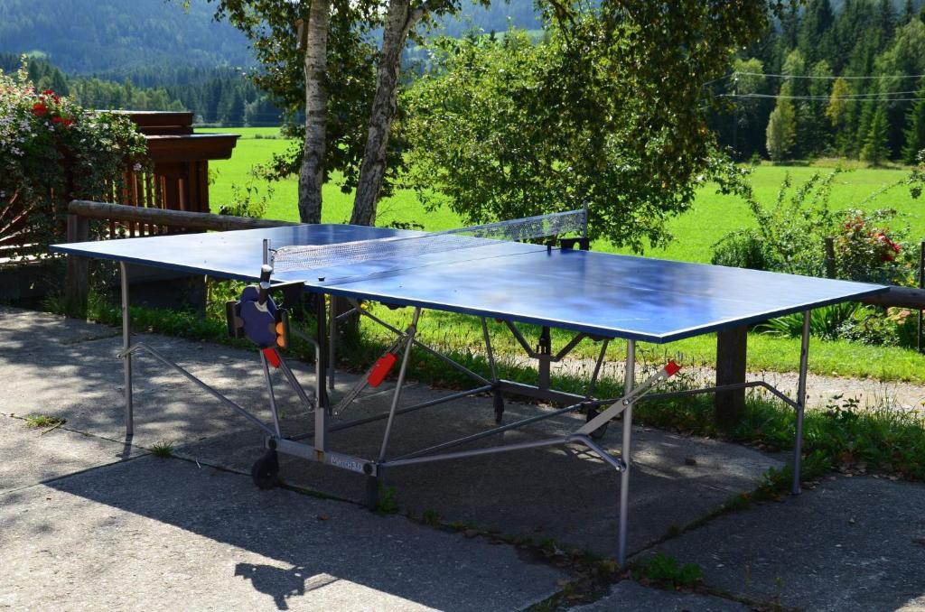 Stolní tenis v ubytování Haus Karin Seidl nebo okolí