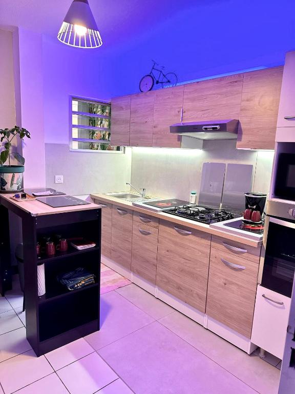Kuchyň nebo kuchyňský kout v ubytování Appartement de la Mer et du Levant