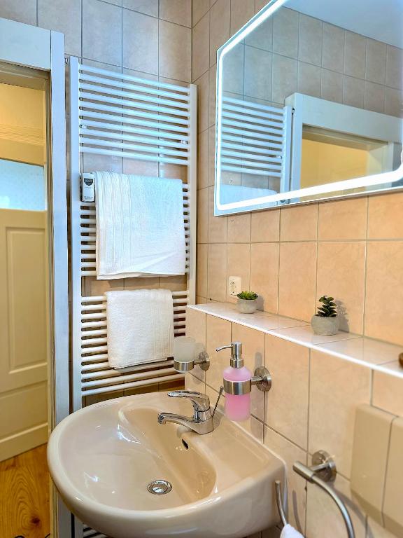 ein Badezimmer mit Waschbecken und Spiegel in der Unterkunft Boutique Apartment • Zentrum • Netflix • Parkplatz in Bad Schandau