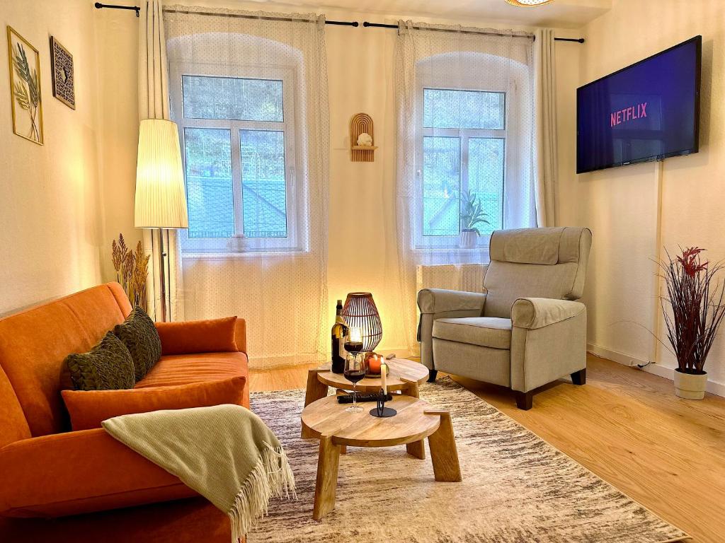 sala de estar con 2 sofás y TV en Boutique Apartment • Zentrum • Netflix • Parkplatz, en Bad Schandau