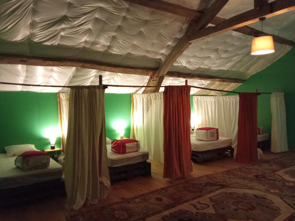 Chambres d'hôtes Les cabris في فيرنيكْسْ: غرفة نوم بسريرين وجدران خضراء