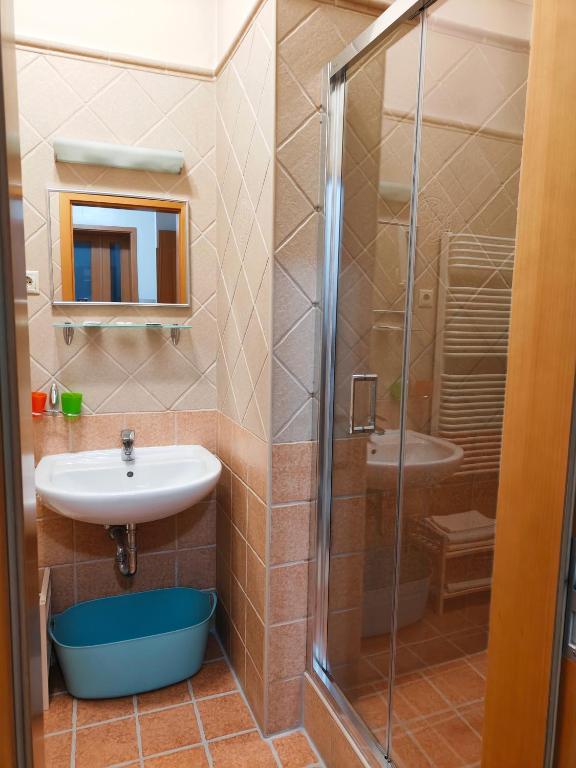 Kúpeľňa v ubytovaní King Apartment