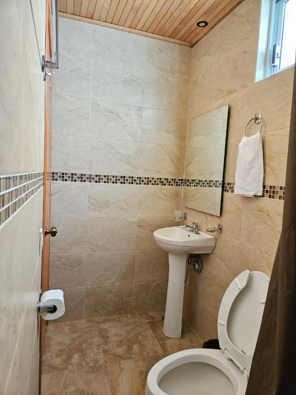 un bagno con un water e un lavandino di Cabañas en Zacatlán a Zacatlán