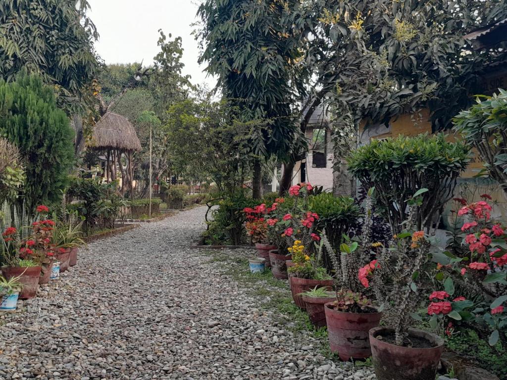 un sendero ajardinado con macetas y un edificio en Crocodile Safari Camp, en Chitwan