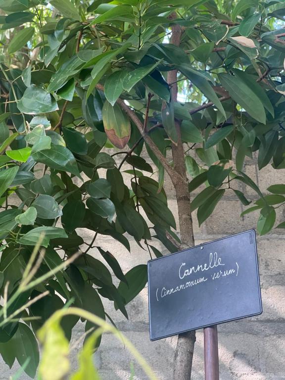 a sign in front of a tree at Le Jardin Arhumatic in Sambava