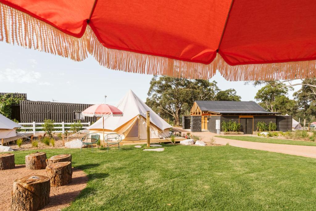 Tomerong的住宿－The Woods Farm Jervis Bay，一把红色的伞和院子里的一些帐篷