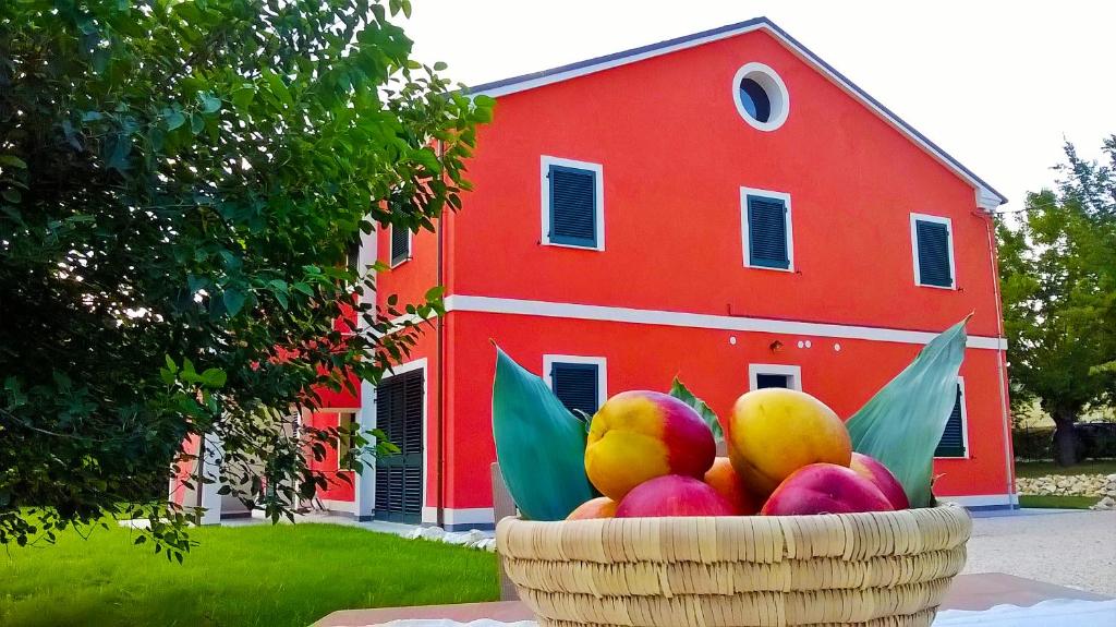 una cesta de fruta frente a un granero rojo en Agriturismo Rossococomero, en Sirolo
