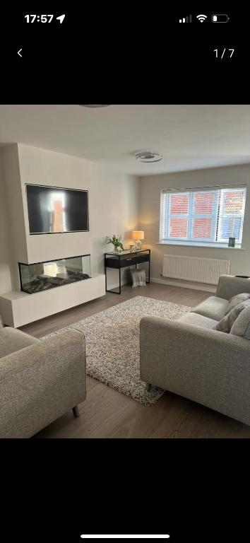 a living room with a couch and a fireplace at Provis Wharf Homestay in Buckinghamshire
