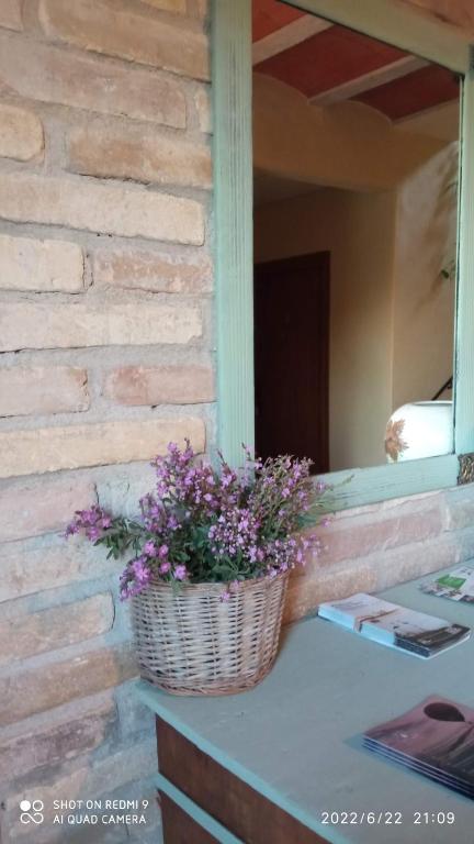 a basket of purple flowers sitting on a counter next to a window at Mas del Tancat in Amposta