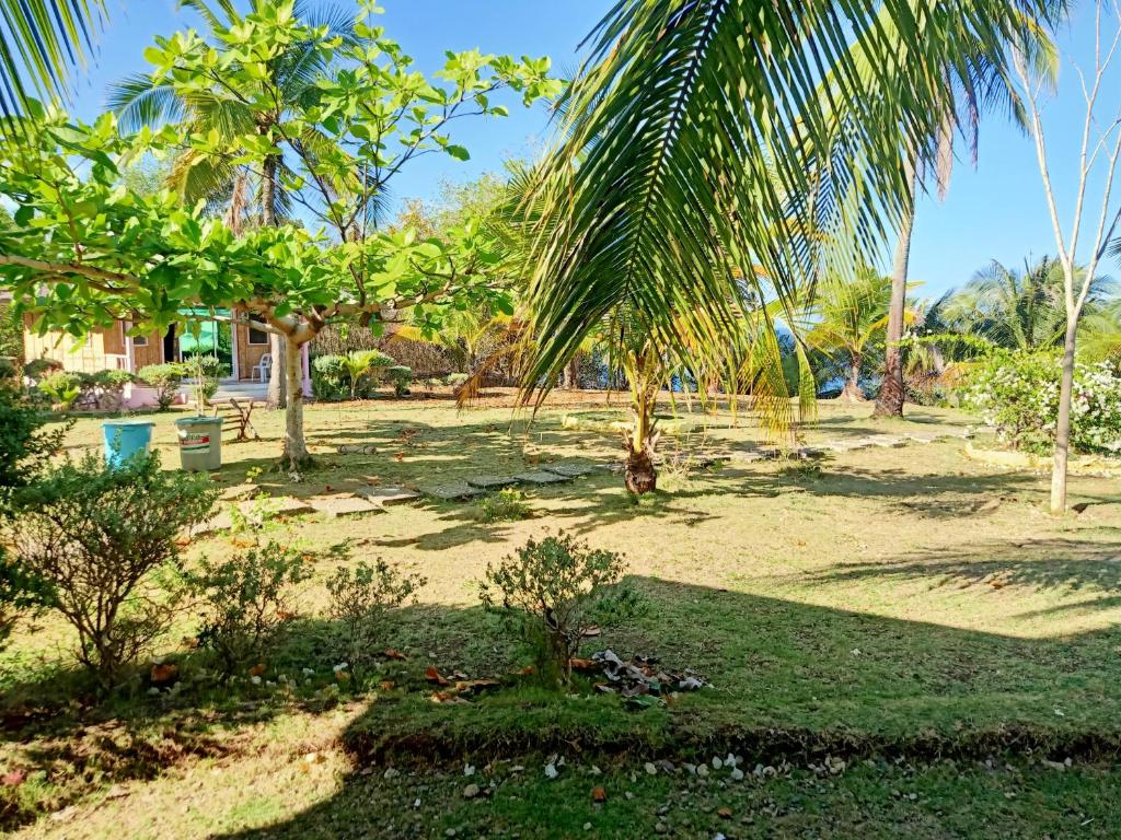 een tuin met palmbomen en gras en een huis bij Smylen Homestay in Maria