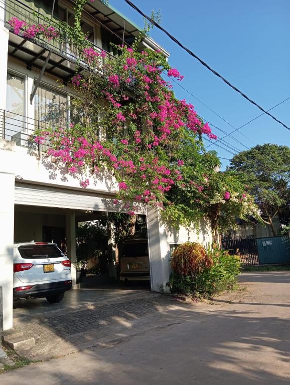 Kelaniya Heritage