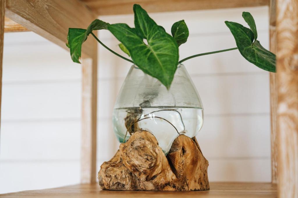 Mambo Hill Resort - 13