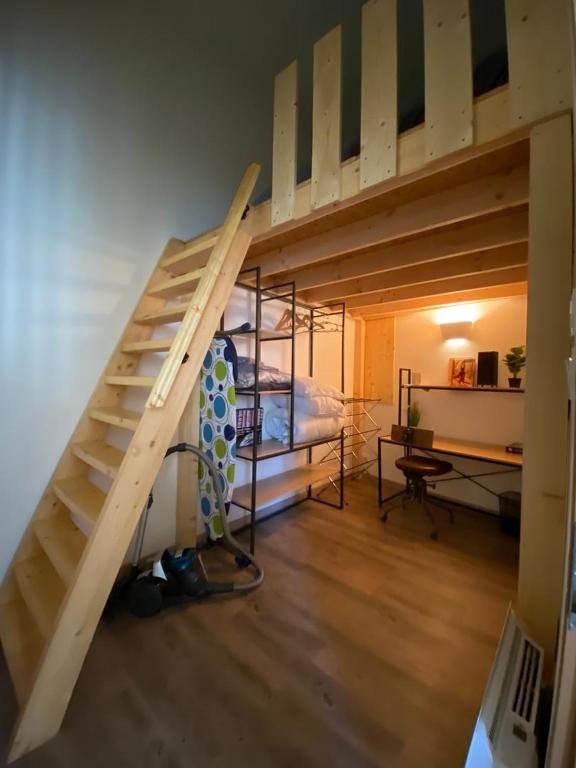 a loft bed in a room with a bedroom at Le Descartes: cosy in the city centre in Poitiers