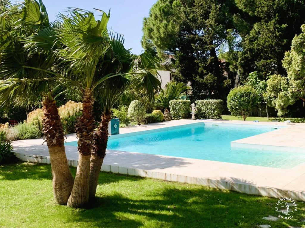 un palmier à côté d'une piscine dans l'établissement Gîte Studio Les Oliviers, à Narbonne
