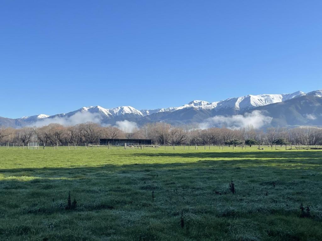 a field with snow covered mountains in the background at Birdsong Alley Bed and Breakfast in Hanmer Springs