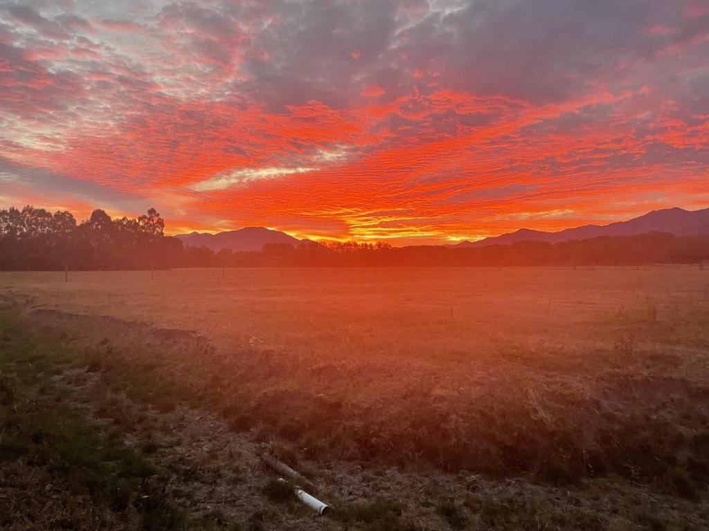 Birdsong Alley Bed and Breakfast - Resim 9