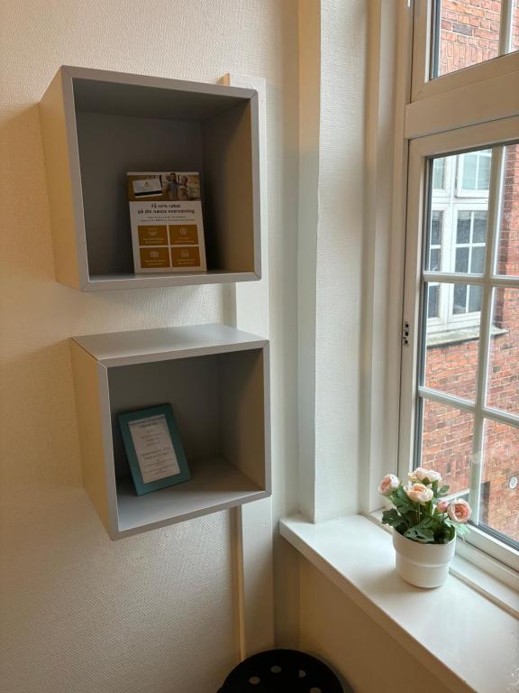 una mensola in una stanza con finestra e pianta di Danhostel Odense City a Odense