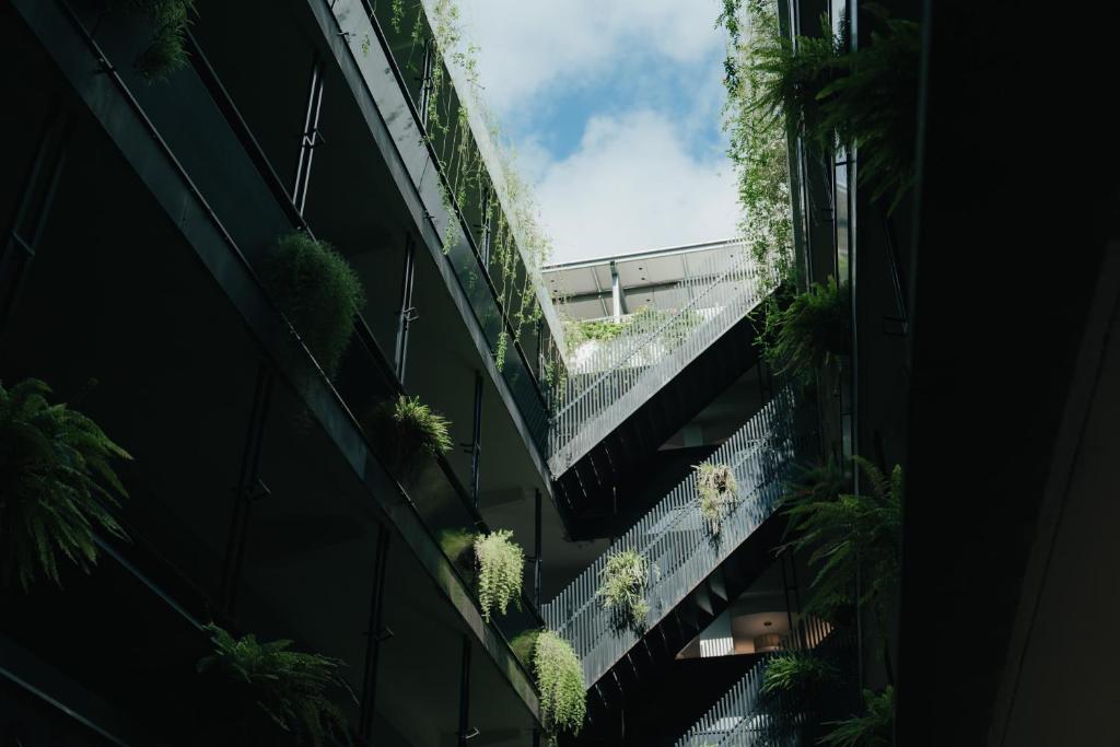 台東市的住宿－路得行旅 国際青年旅館 台東館，植物建筑的头顶景观