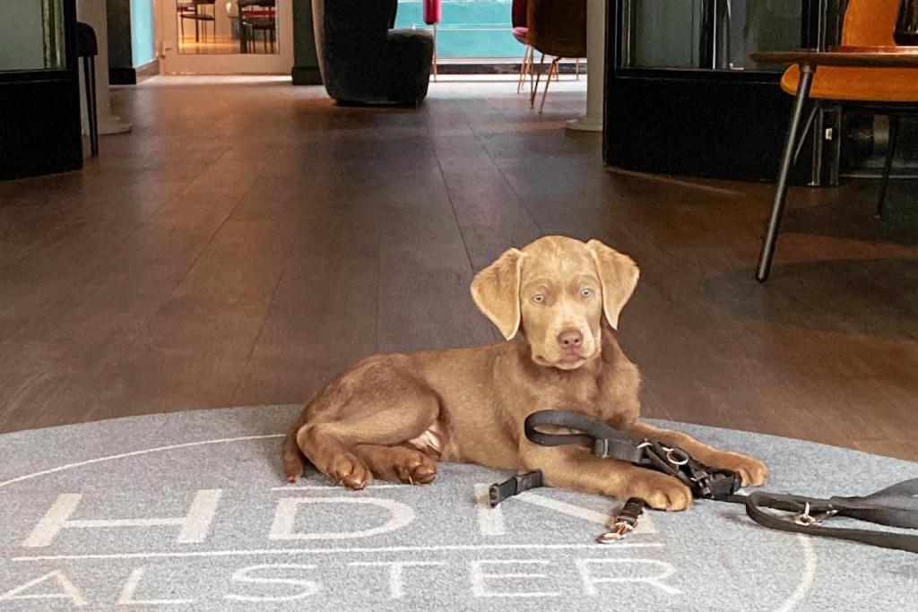 Hotel du Nord Alster - auf der Uhlenhorst - SELF CHECK-IN - Resim 35